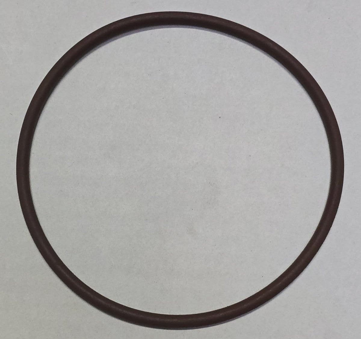 Reliant Chlorinator Lid O-Ring for B8013 / B8014 / BC0168 / BC0169 (Large)