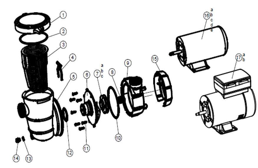 Reliant Pump Housing Oring P1200 series