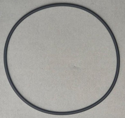 Reliant Booster Pump Housing O-Ring for P3010 Series