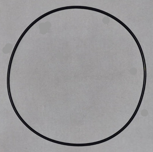 Reliant Cartridge Filter Tank O-Ring for C2120 / C2150 / C2200 / BC3103000 / BC3103001 / BC3103002